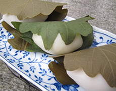 柏餅
